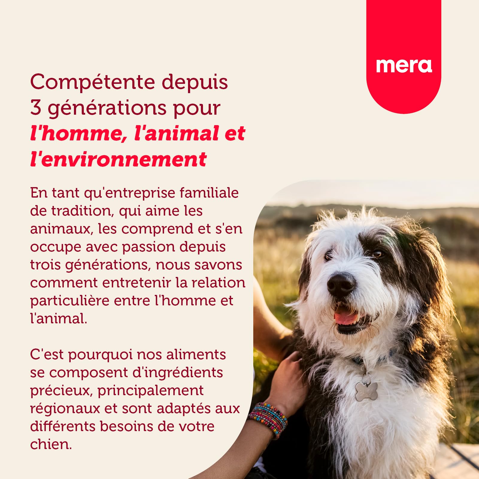 Mera Essential Beef, Nourriture sèche pour Chiens Adultes normalement Actifs (12,5 kg)