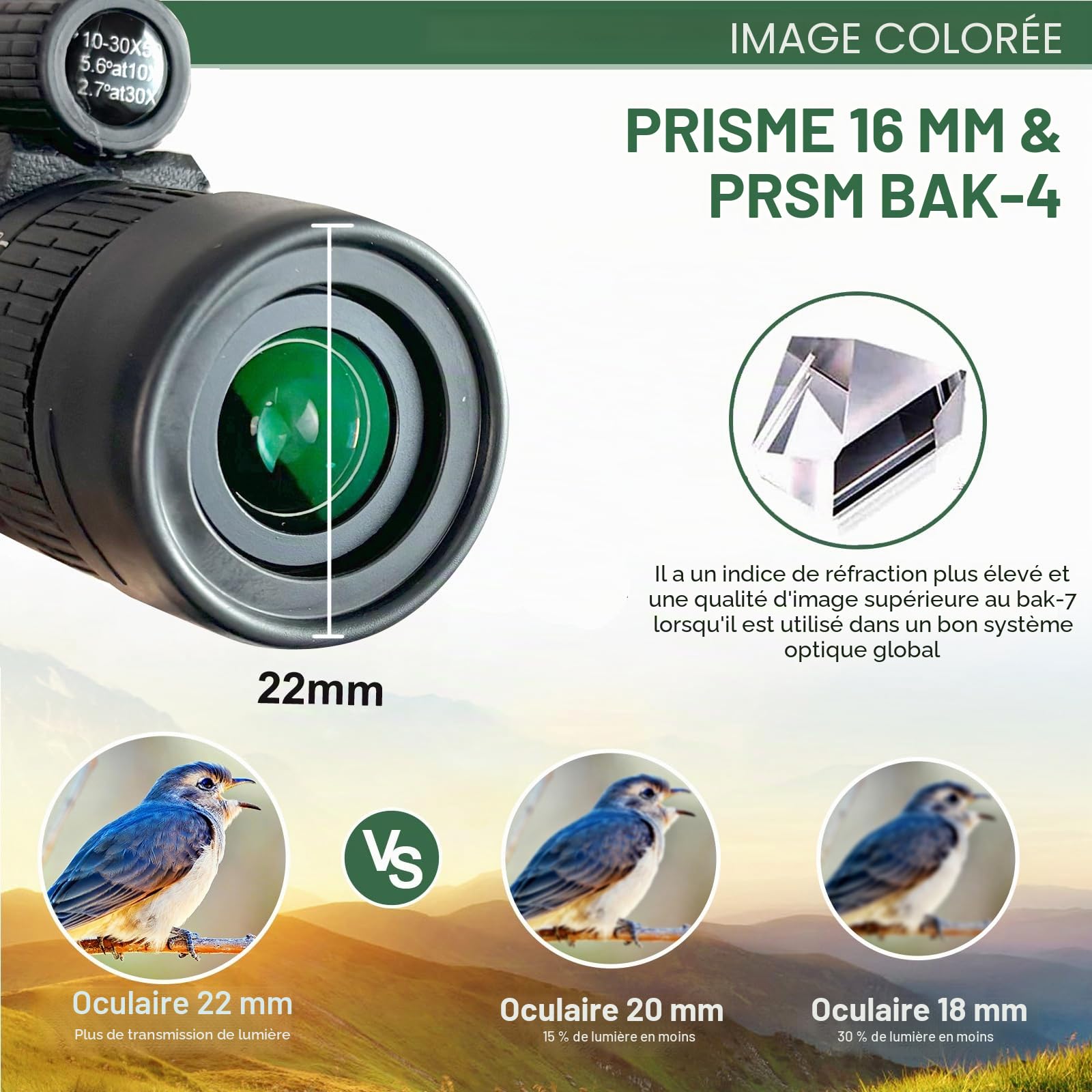Monoculaire 10-30x50 Prisme BAK4 HD, Télescope Portable Étanche avec Trépied & Support Téléphone, Idéal pour Observation Oiseaux, Randonnée, Concert et Événements Sportifs