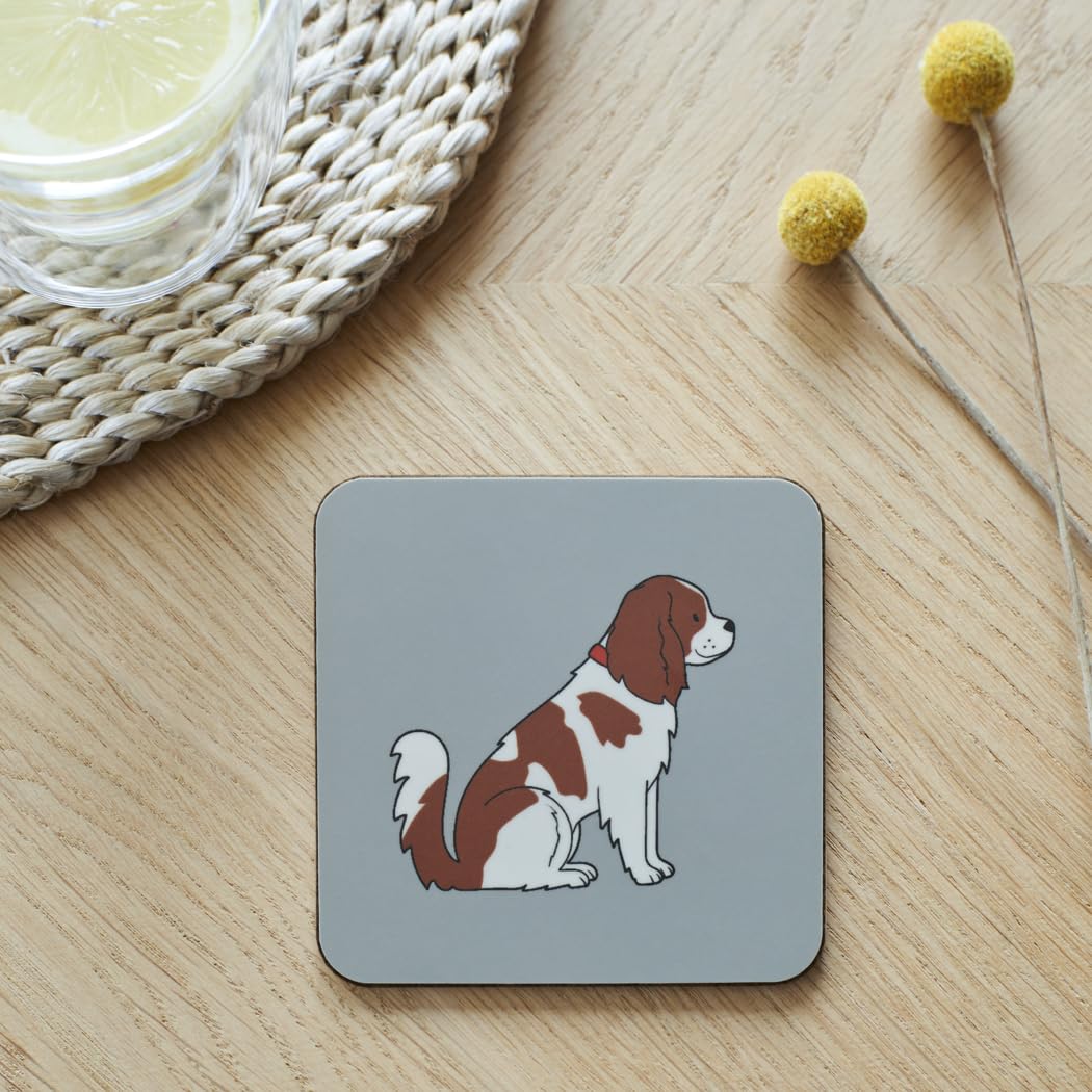 Sweet William Cavalier King Charles Coaster