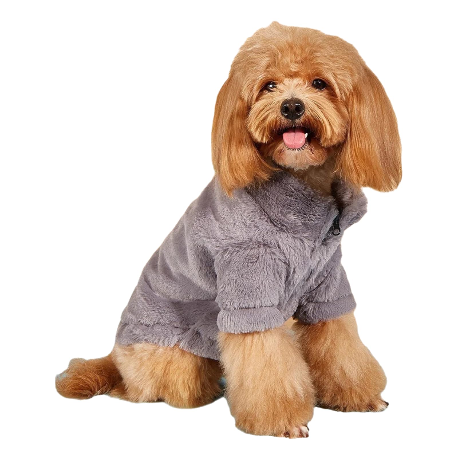 Sweat à capuche résistant au froid pour chien vêtement coupe-vent