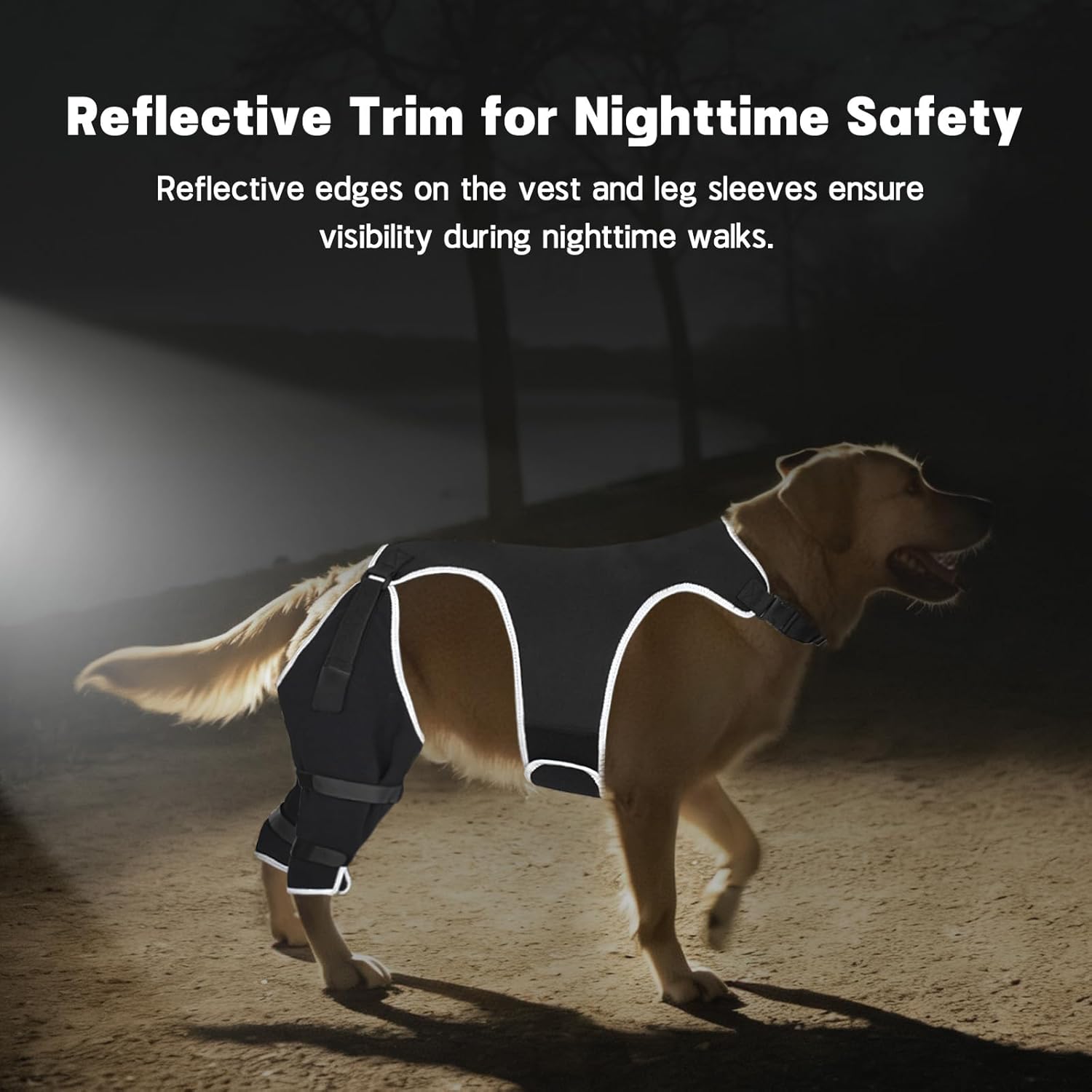 Dog Rear Leg Sleeve to Stop Licking, Adjustable Anti-Slip Recovery Sleeve Pants for Wound Protection After ACL/TPLO Surgery, Hot Spots, Lick Granulomas–Cone Alternative for Leg Healing,M