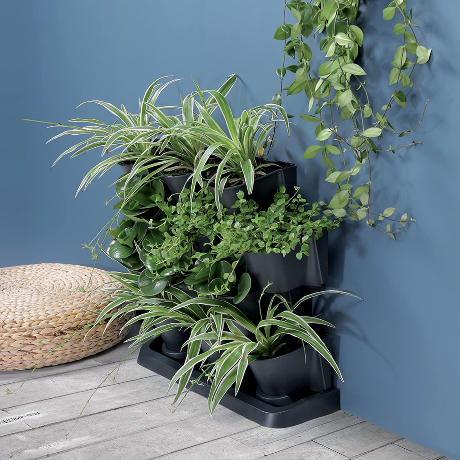 IMJ-Global Set di 12 Vasi Orto Verticale Modulari Per Fiori Piante Cascade Wall Decorativi In Plastica Da Interno Esterno Neri 19 x 68,5 x 54, 6 cm Design Moderno 12 x 0,75 Litri