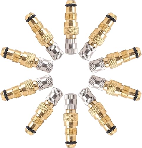 Válvula de tractor Válvulas de aire líquido de latón TR218A TR618A CH3 Core Carcasas de repuesto (paquete de 10)