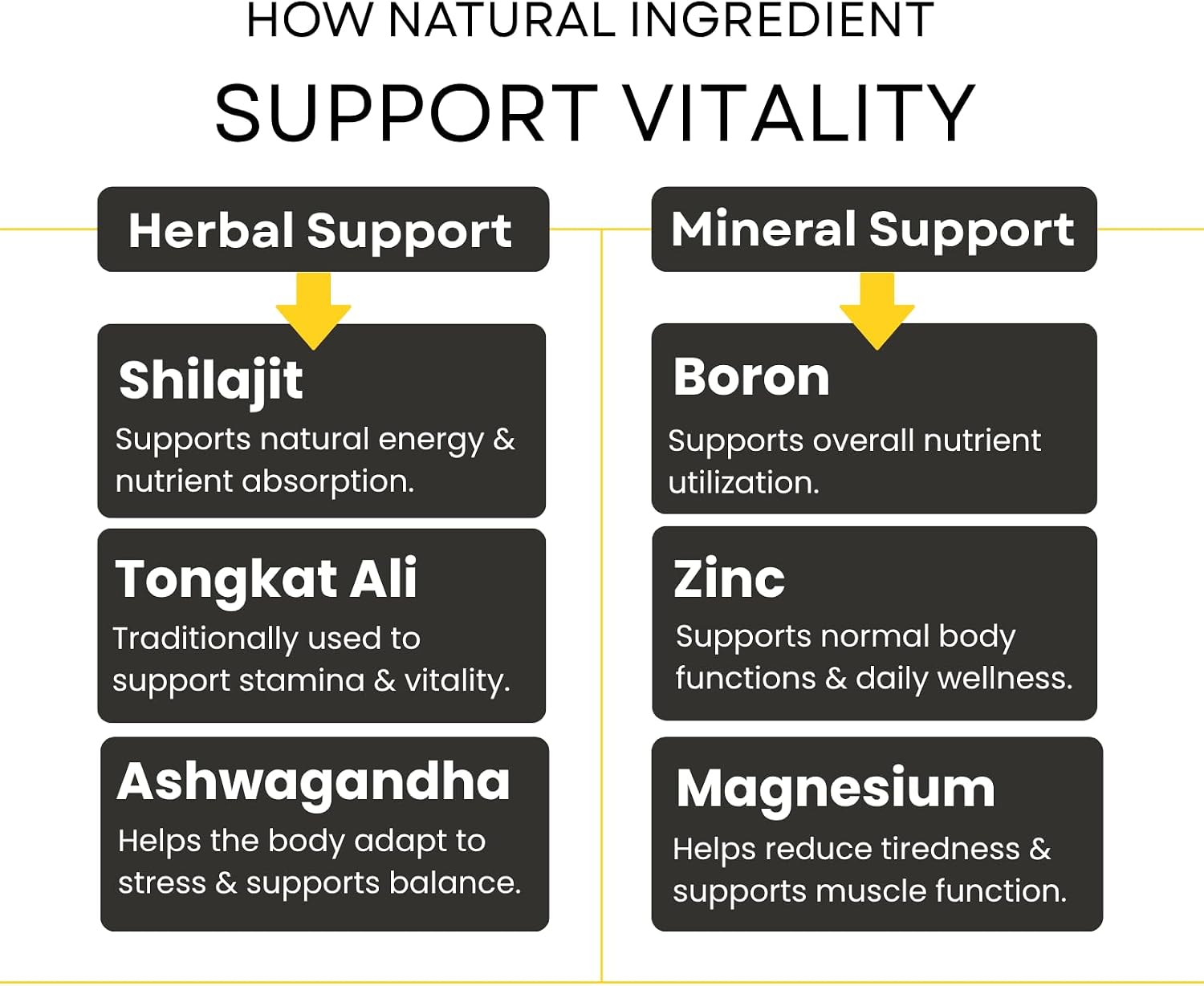 Steel Power Testosterone Booster for Men – Male Enhancing Supplement with Tongkat Ali, Shilajit, Ashwagandha, Zinc, Magnesium & Boron – Supports Energy, Stamina, Strength & Male Vitality – 30 Servings