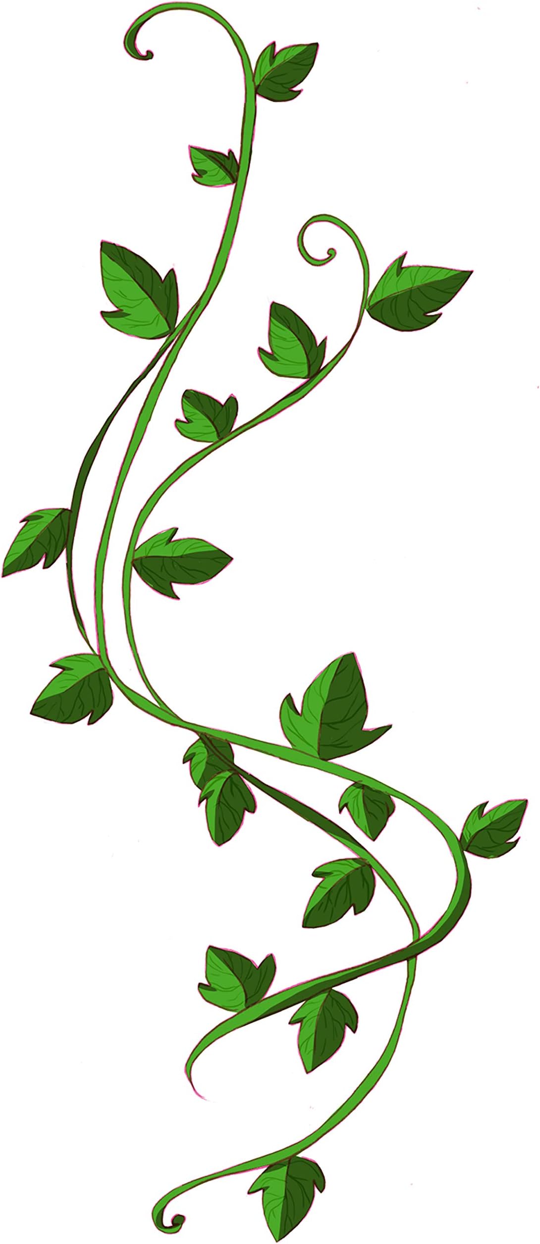 Ivy Temporary Tattoos x4