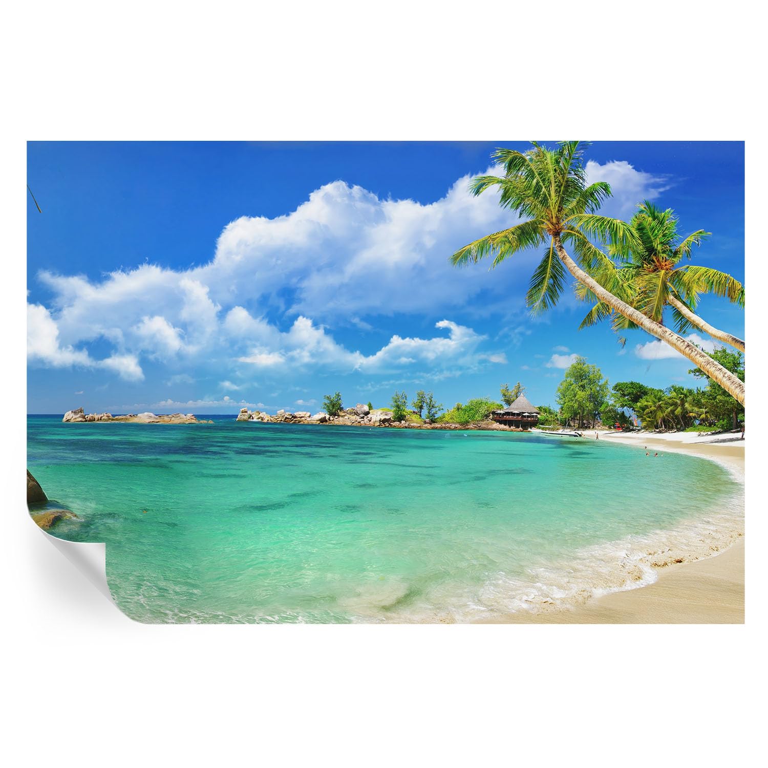 Murales para pared de paraíso tropical en vinilo adhesivo para salones modernos
