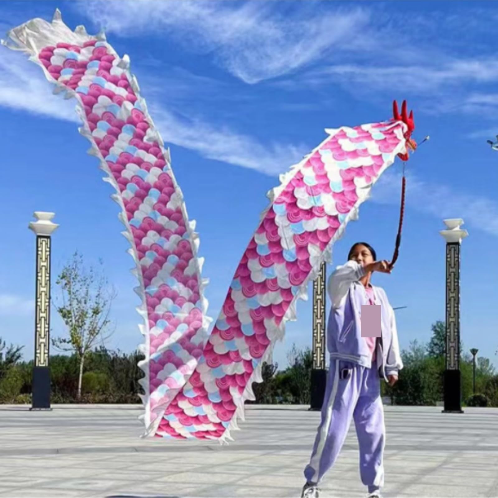 Drago Cinese per Feste Nastro da Danza del Drago Streamer Lancio All'aperto con Testa di E Corda Oscillante Combinati for La Festa Feste Cinesi in Italia(3 Meters)