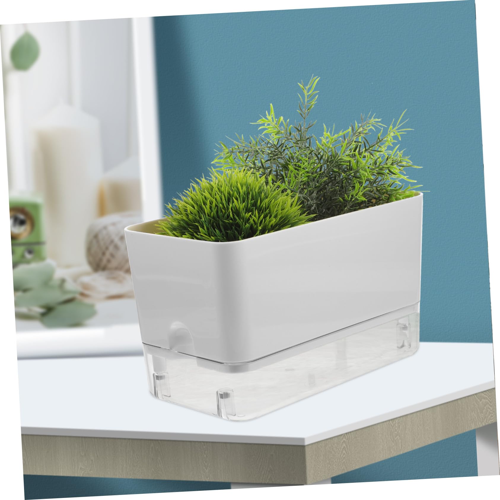 2 Stück Selbstbewässernde Orchideentöpfe Transparent Großformat mit Baumwollseil Bewässerungssystem für Zimmerpflanzen und Sukkulenten