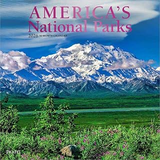 アメリカの国立公園 | 2026 12 x 24インチ (吊り下げ) マンスリースクエア壁掛けカレンダー | ホイルスタンプカバー | プラトン | ヨセミテイエローストーン