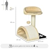 Ver la foto 7