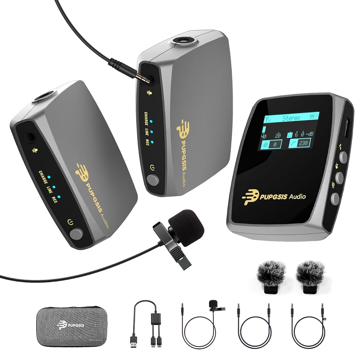 Wireless Lavalier Microphones for phones Cameras, Mini Mic Lapel Wireless Microphone with 20H Battery Life, 64GB TFcard Slot, DSP Noise Cancelling for Record Interview, Vlogs, YouTube, Tiktok (WE10)