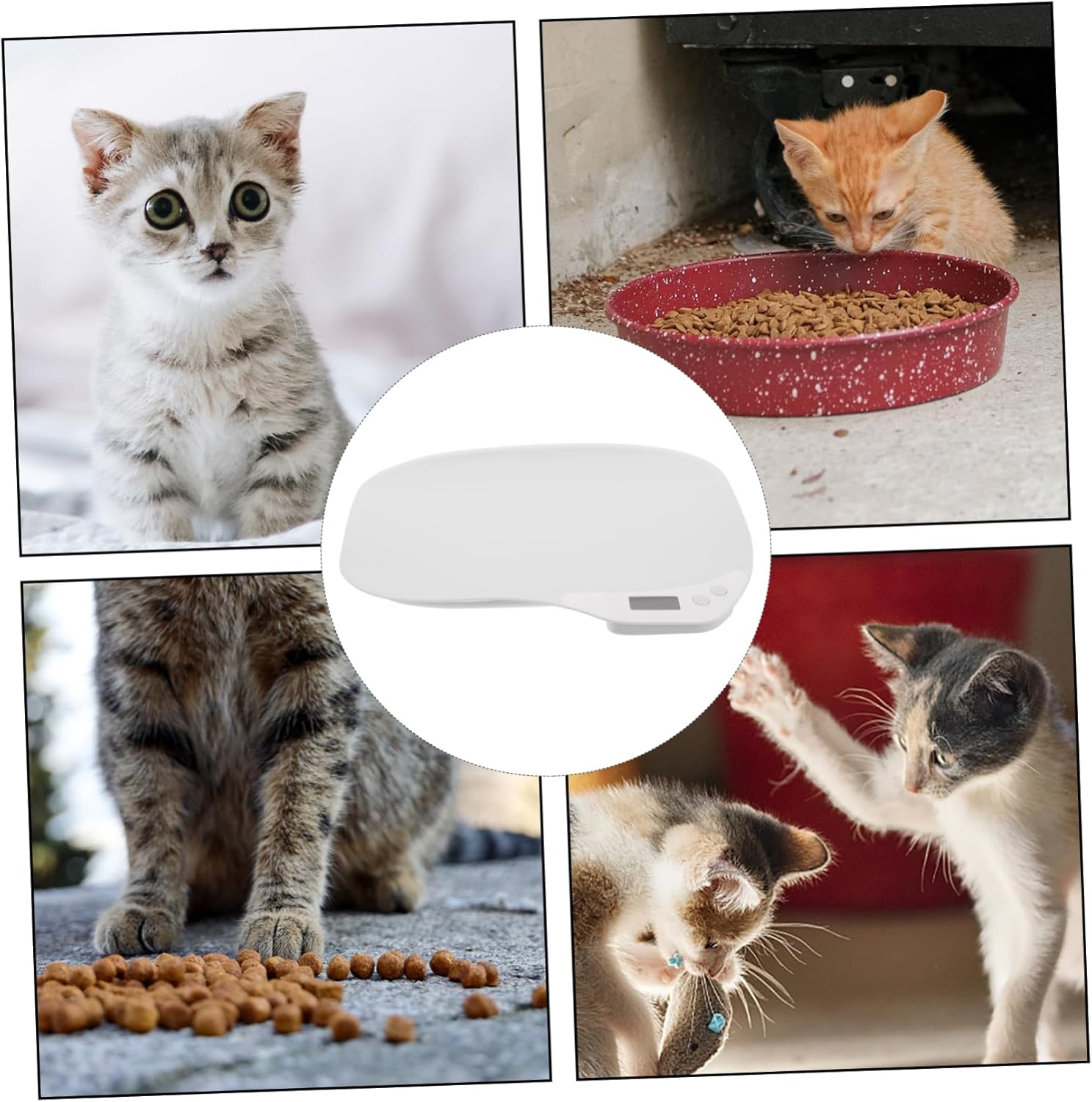 Pet Scale Electronic Weighting Tool Led Digital Display for Cats Dogs Food Medicine Compact