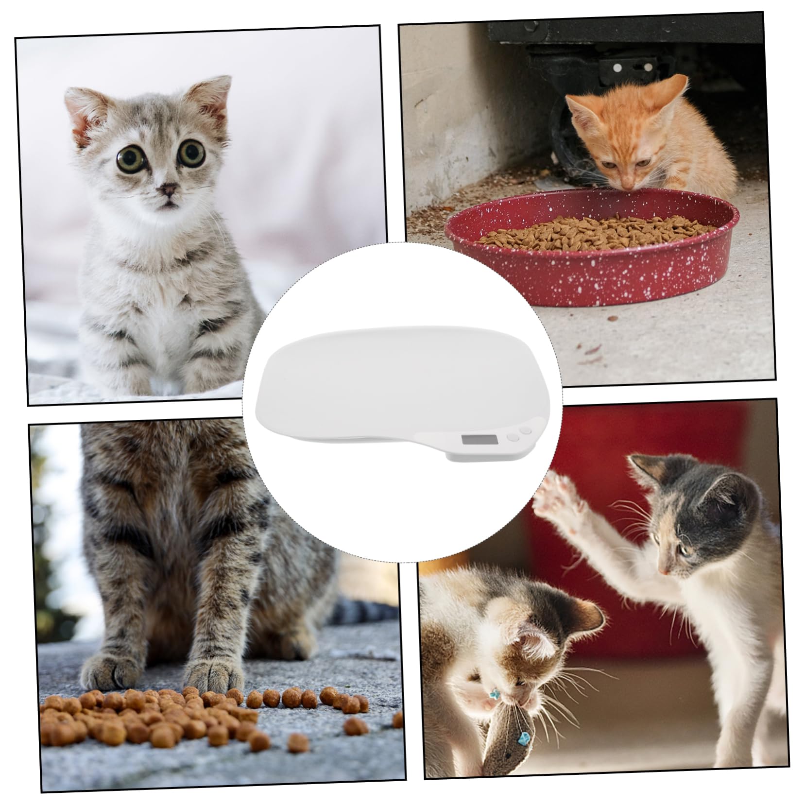 Bilancia per Animali Domestici Digitale Mini Bianca, Lettura Precisa
