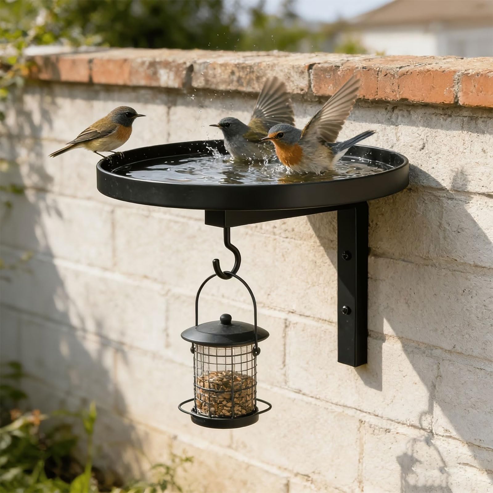 Mensola da bagno per uccelli da parete in metallo Vassoio rotondo con gancio per recinzioni da giardino, decorazione del patio, cortile visitatori piumati Accento da giardino Vassoio da parete da da