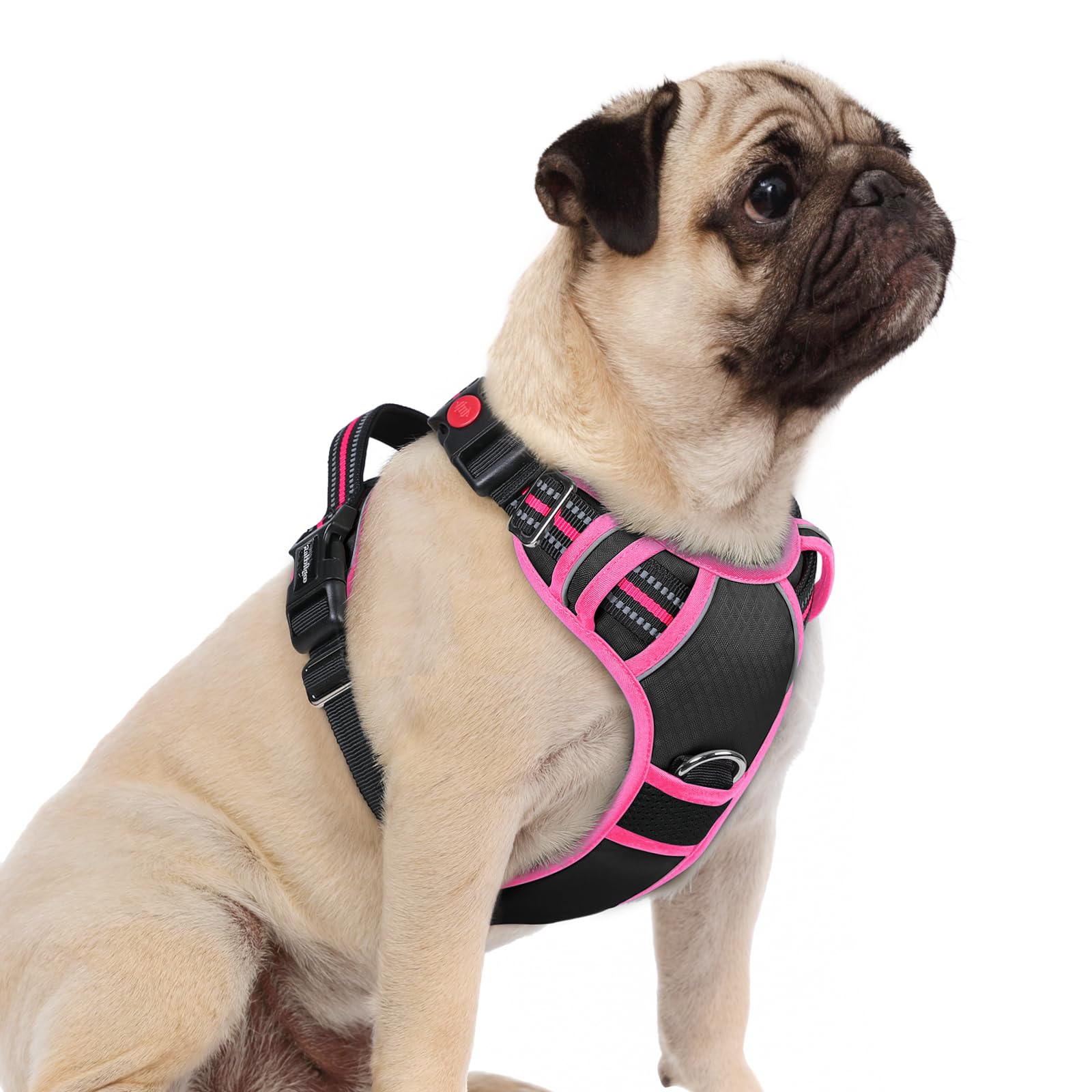 rabbitgoo Dog Harness Small Sized, No Pull Dog Vest with 3 Buckles, Adjustable Soft Padded Pet Harness with Easy Control Handle and Reflective Strips,