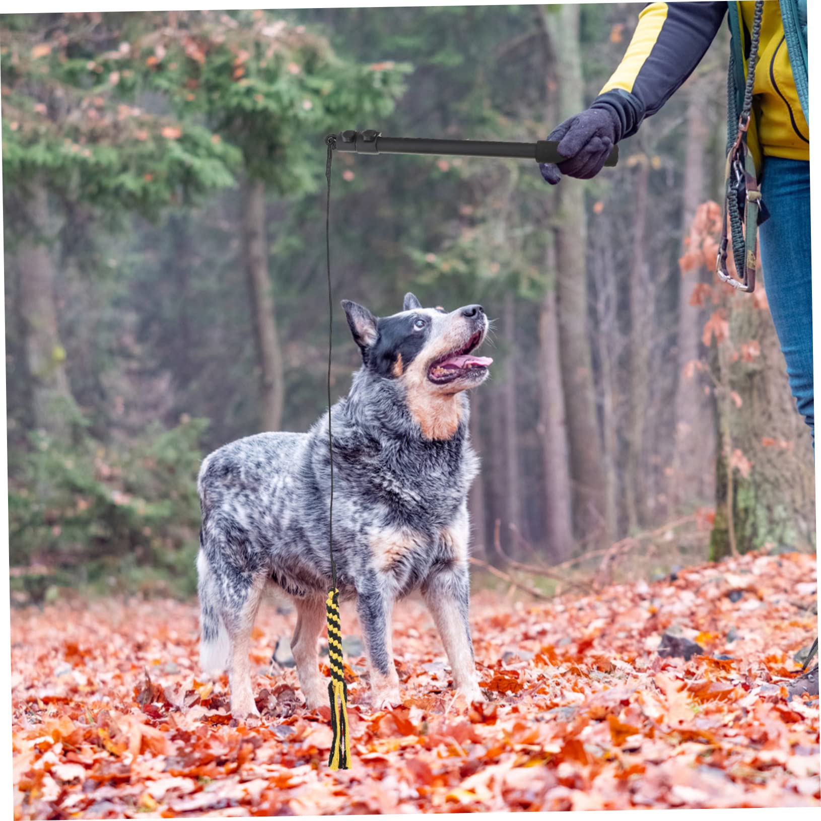 Toddmomy Barra Telescópica para Perros para Cachorros y Adultos Diseño y Resistente