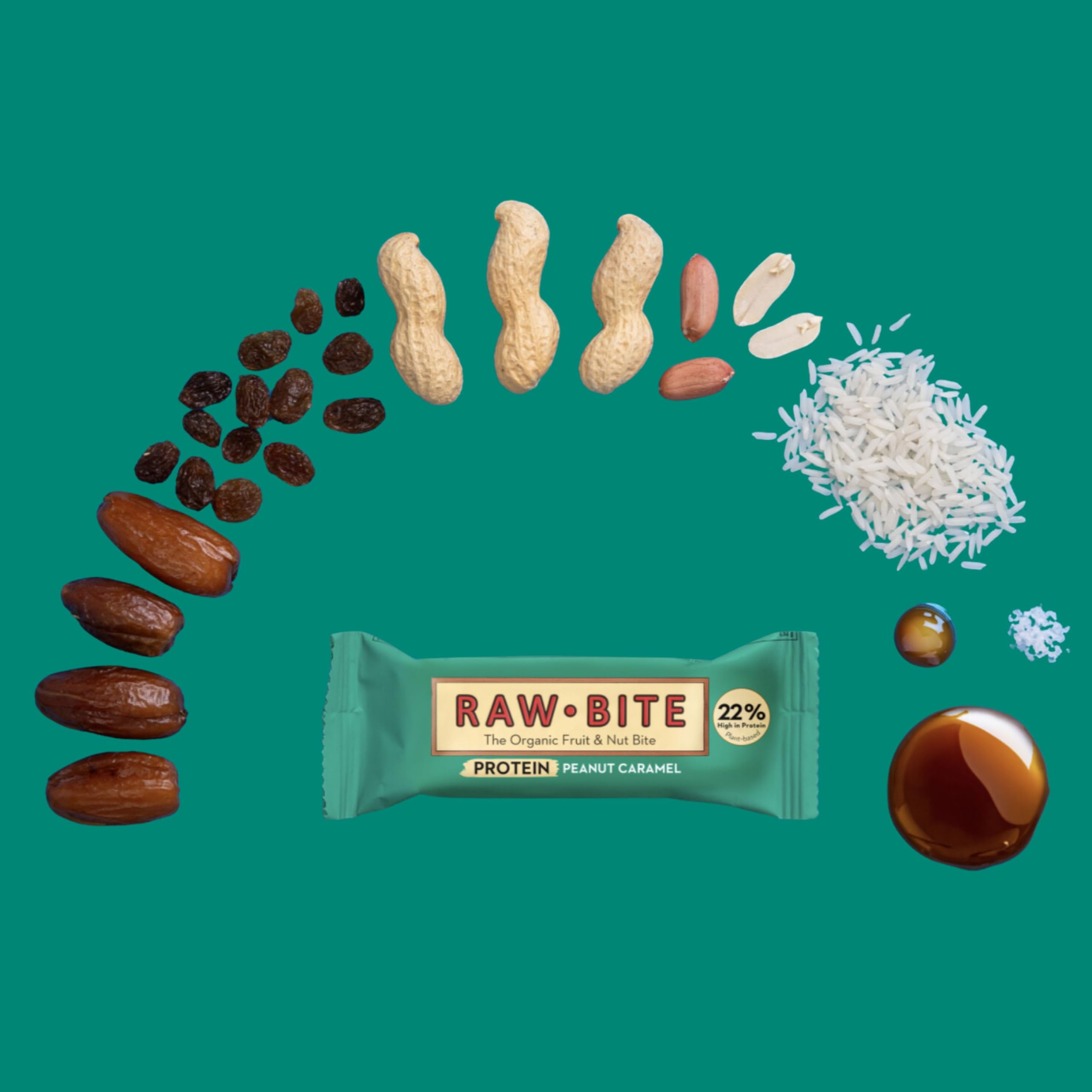 RAWBITE PROTEIN Riegel mit 22g Eiweiß I 12 Bio Proteinriegel in der Box I Reisprotein, Datteln, Erdnüsse, Salz & Karamelaroma I Vegan, glutenfrei, laktosefrei I enthält von Natur aus Zucker I 12 x 45g