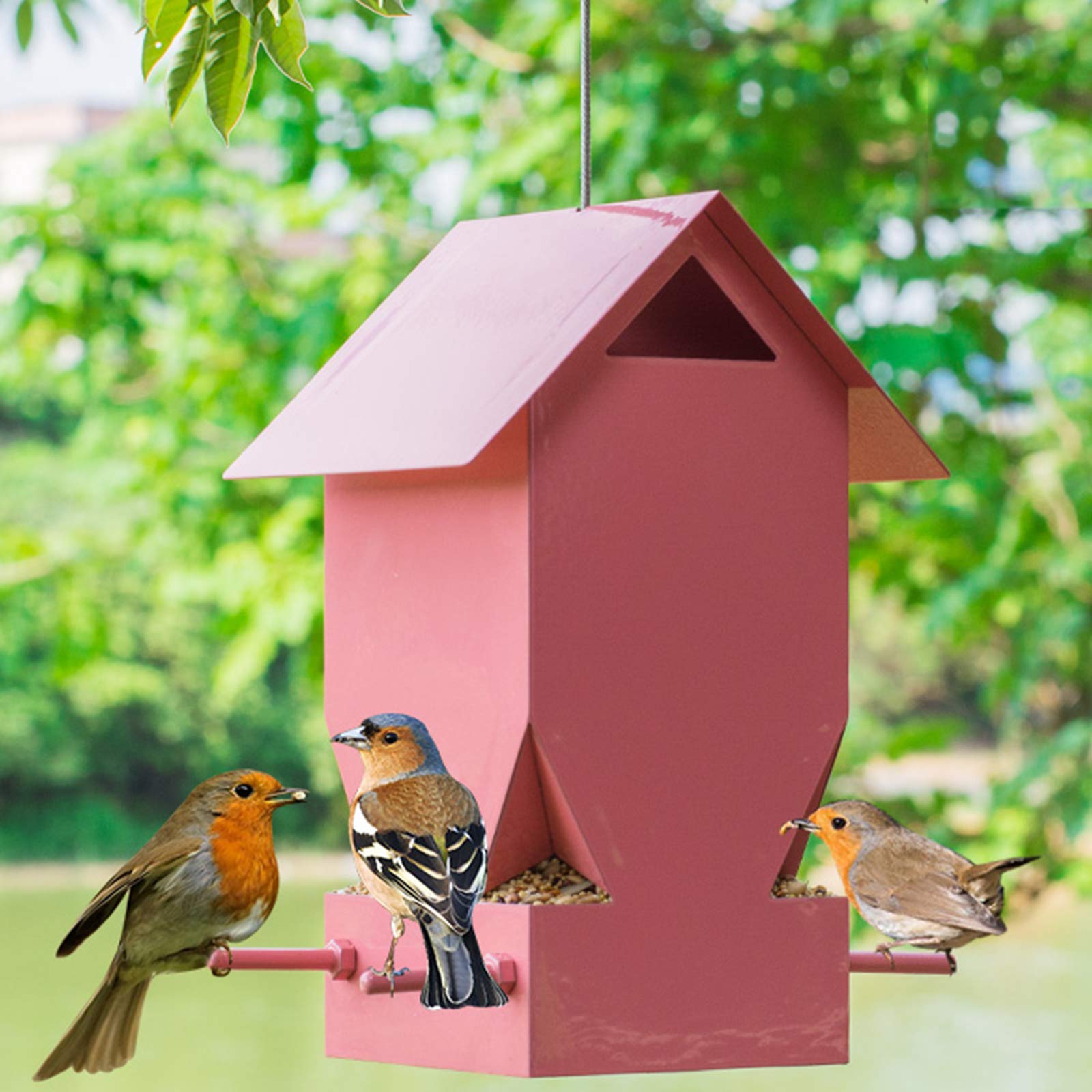 Vogelfutter Station,Edelstahl,zum Aufhängen,Vogelfutterhalter Vogelstation Vogelfutterspender Wildvogel Futterspender Vogel,mit Dach, Kolibri-Feeder mit Barsch, gehören Hängende Drähte,Rot