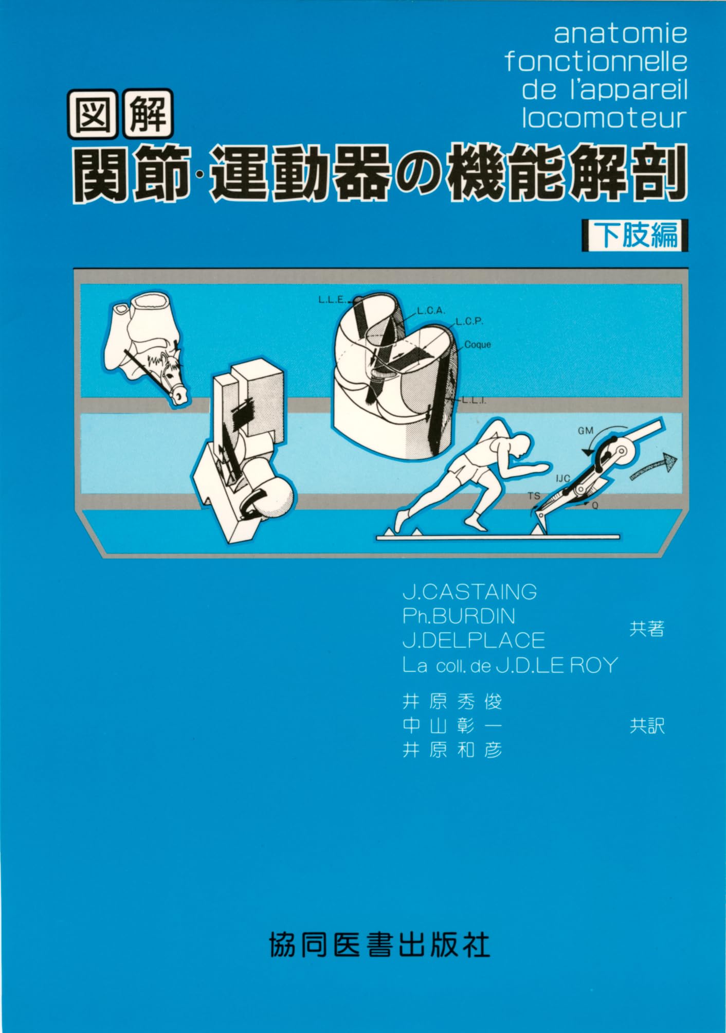 図解 関節・運動器の機能解剖 (下肢巻) | J. Castaing, 井原 秀俊 |本