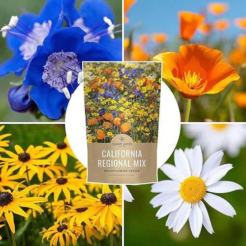 Miniatura 8 de Mezcla de nativos de California - Bolsa de 1 libra a granel - Más de 120.000 semillas nativas - Polinización abierta y sin OMG