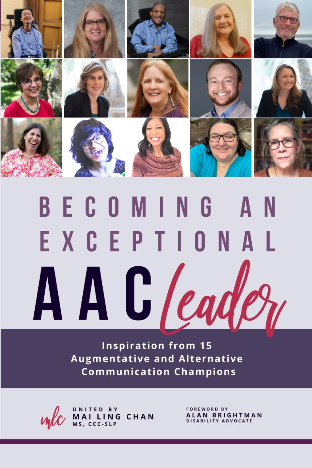 Becoming an Exceptional AAC Leader: Inspiration from 15 Augmentative and Alternative Communication Champions (Becoming an Exceptional Leader)