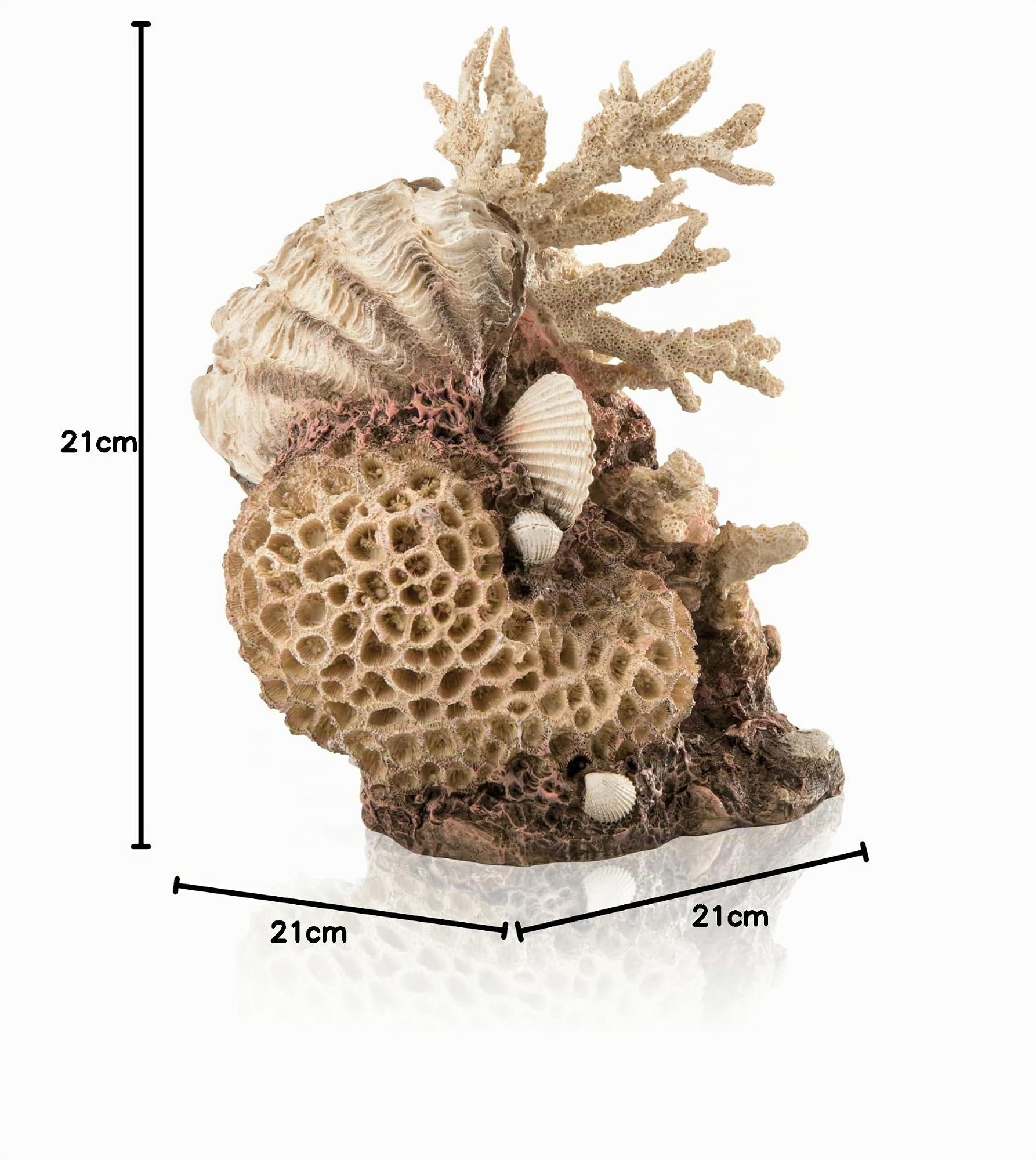 biOrb Décoration de coraux et coquillages, non teintée