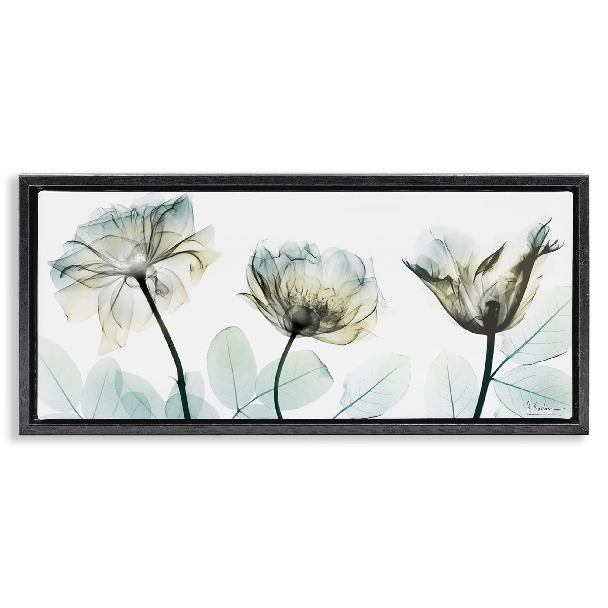 Stupell Industries Jet Black (Matte) Floral Still Life Botanical Elegance, 13 X 30 Inch Canvas In Floater Frame