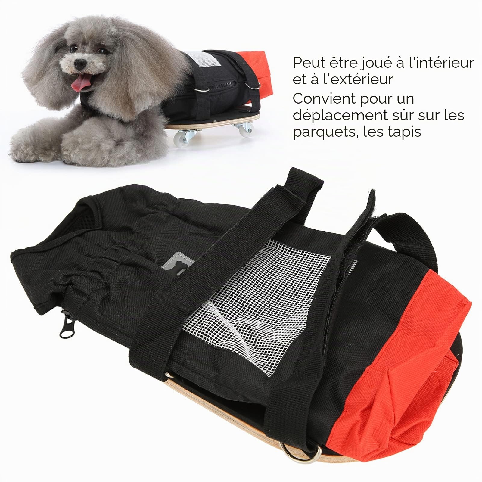 Fauteuil Roulant pour Chien Chat pour Pattes Arrières, Scooter de Marche pour Animaux de Compagnie avec Roues Silencieuses, Scooter D'assistance pour Chien Chat handicapé, Protège la Poitrine et les