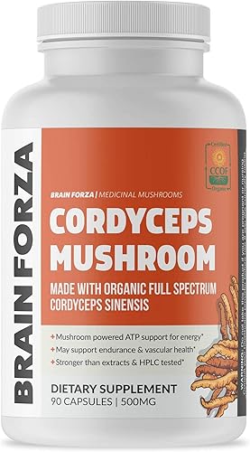 Brain Forza Cápsulas Cordyceps orgánicas, hongo Cordyceps Sinensis para apoyo energético y resistencia, resistencia y rendimiento deportivo, sin