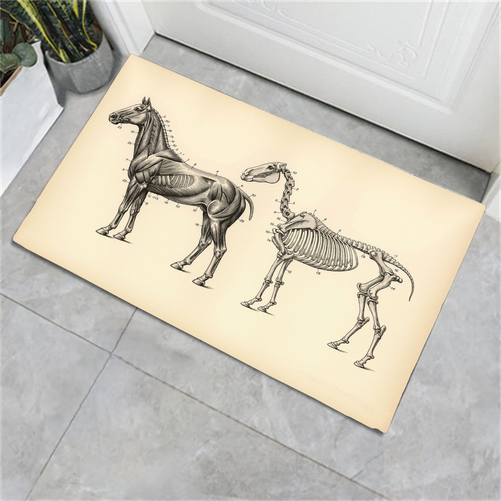 Paillasson squelettes de chevaux pliable fini les tapis qui glissent