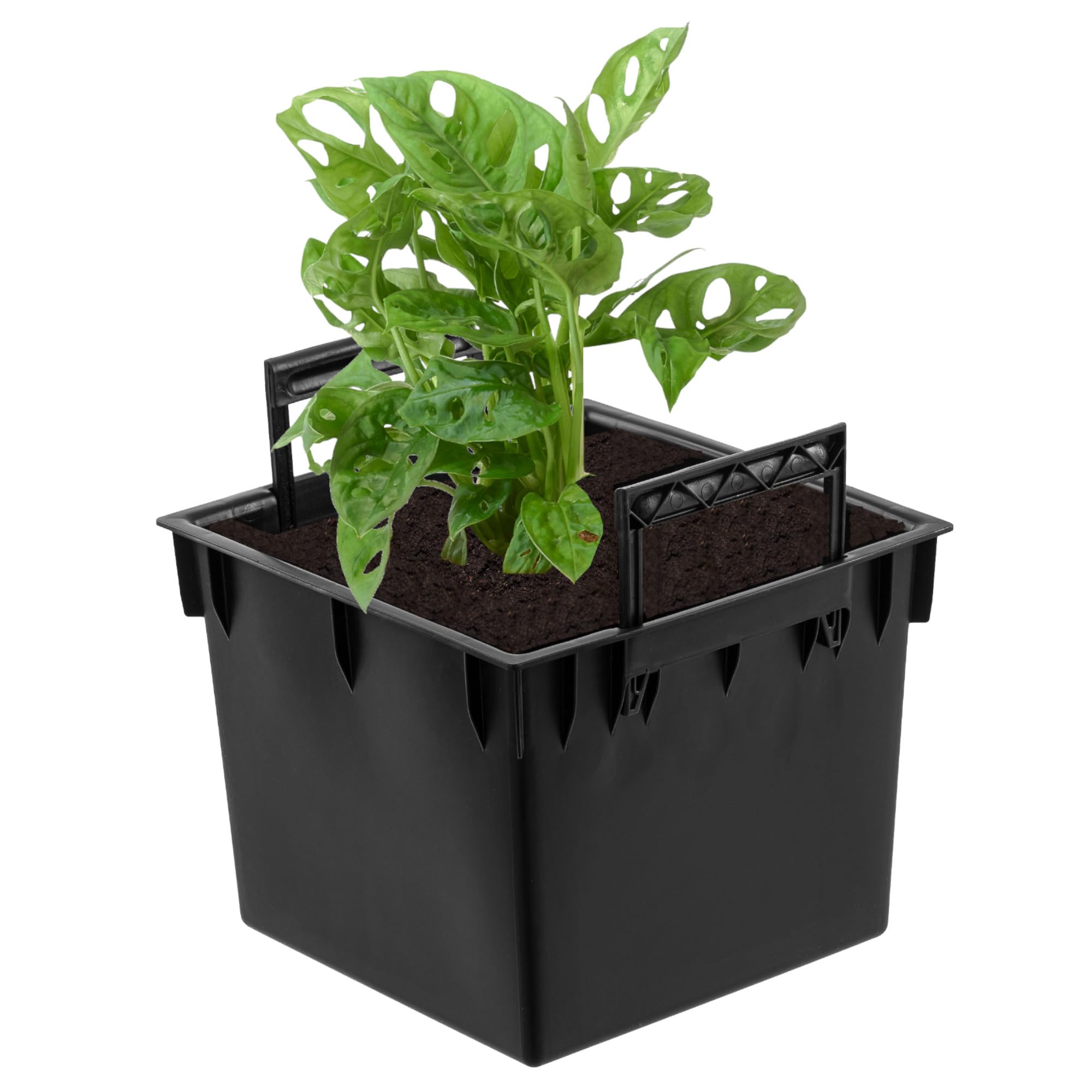 Juego de 2 macetas cuadradas intercambiables de plástico, 25 L, dimensiones 32,5 x 32,5 x 25,5 cm, para macetas Prosperplast, altura de 61 cm, con asas, para uso exterior e interior
