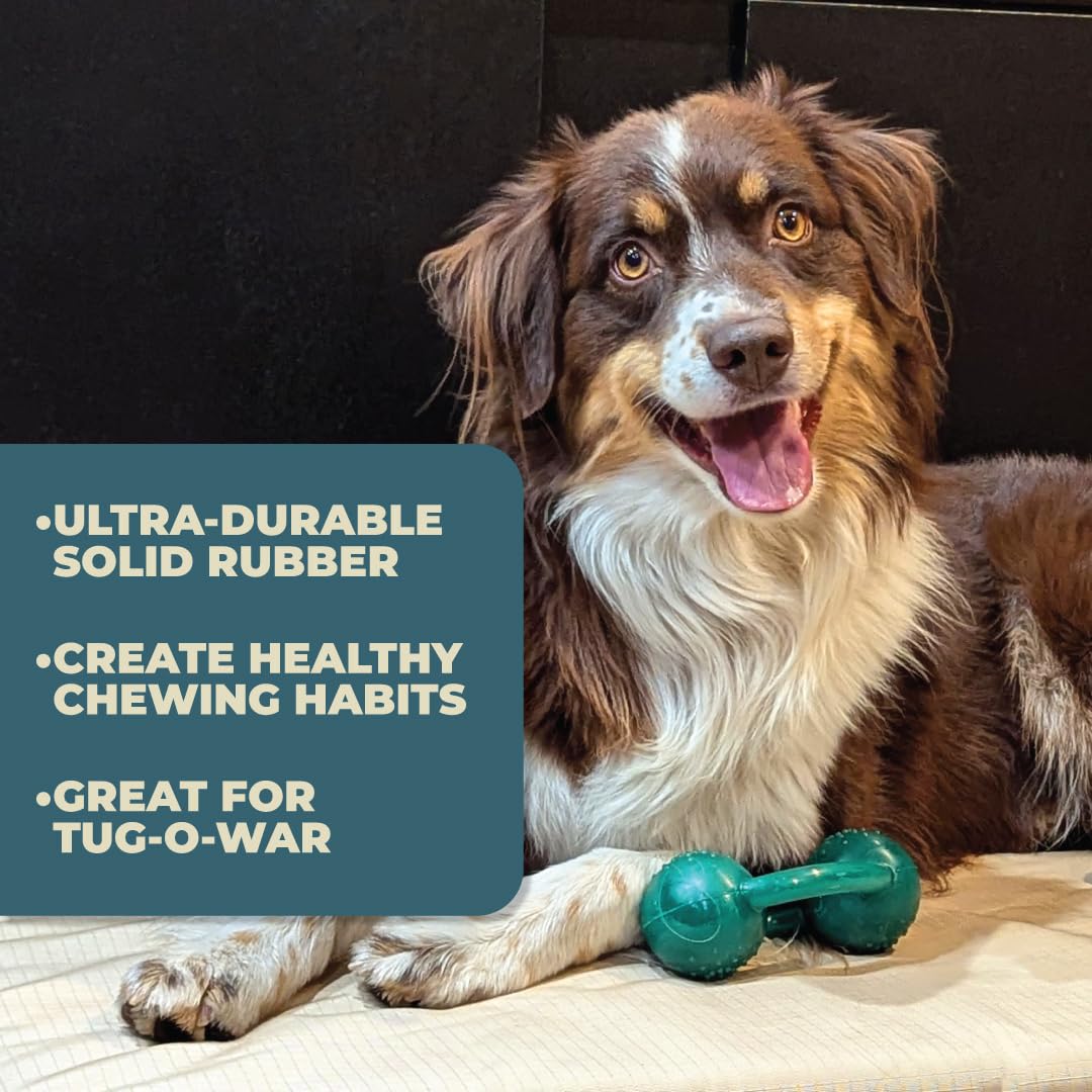 Alpha - Chew - Juguete de goma resistente para perros de tira y afloja para mascotas, elige tu color, 6 pulgadas de largo x 2.5 pulgadas de ancho x 3.5 pulgadas de alto (rojo)