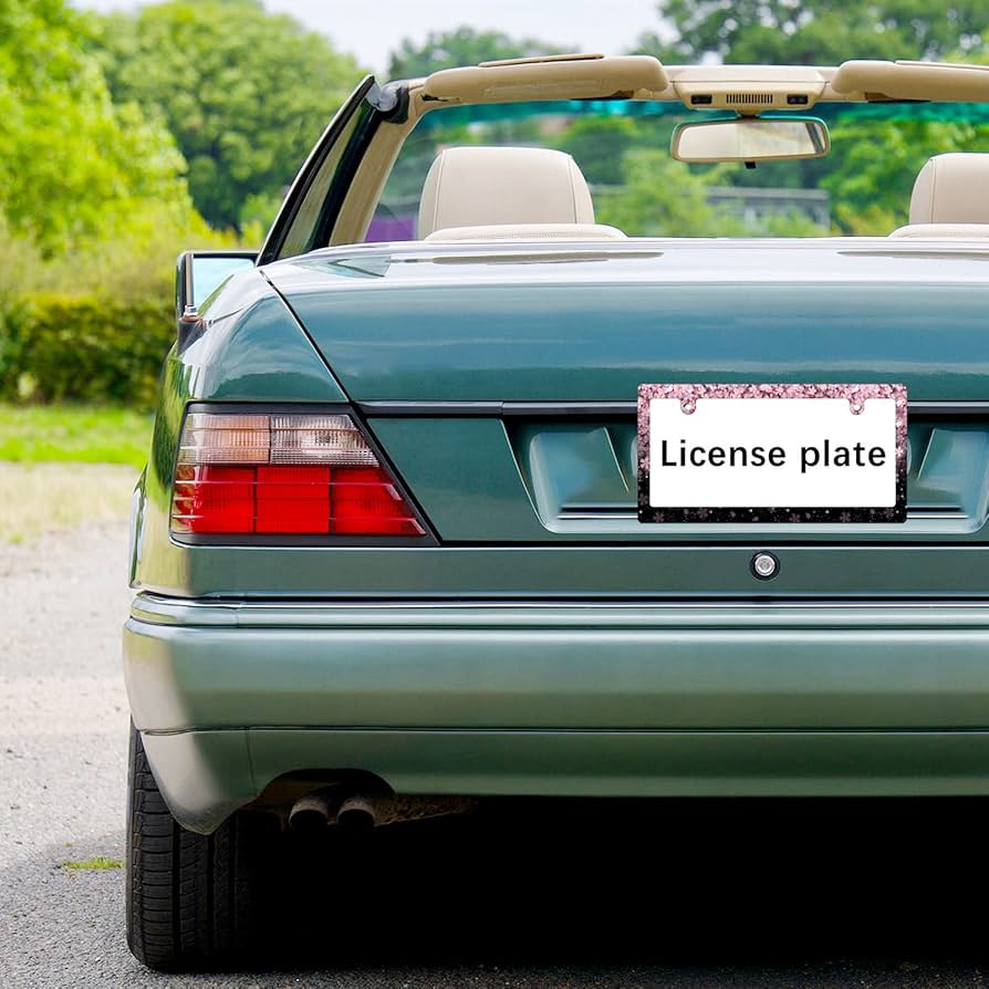 桜の前の着物女性スプレーアート　ナンバープレート型プレート fnx830_01_logo_ret.jpg?v=