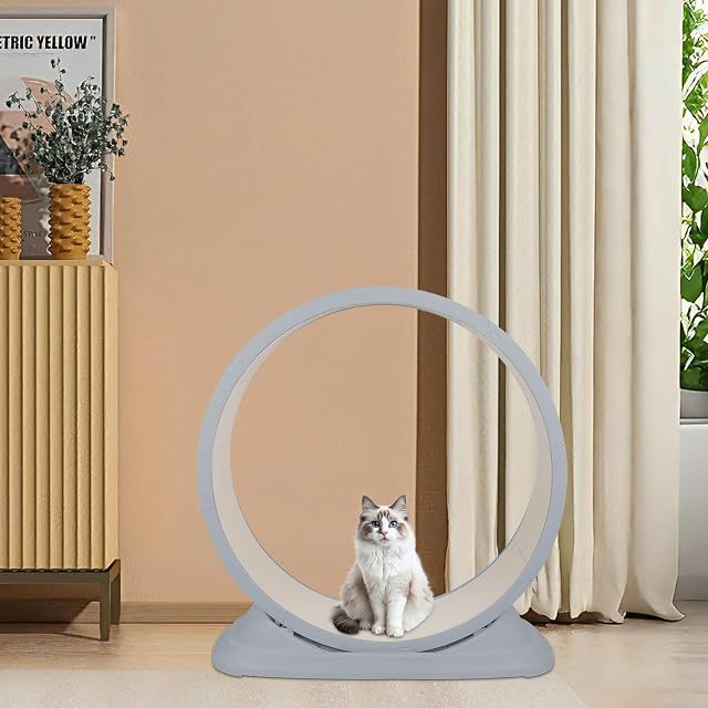 Foto 8 de 8 de Ejercitador de rueda de gato de madera maciza natural para gatos interior
