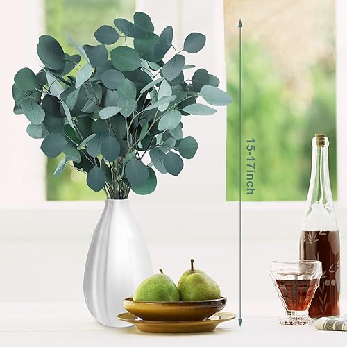 Miniatura 7 de Tallos de eucalipto preservados secos, 7-10 hojas de dólar de plata natural real, ramas de plantas de eucalipto frescas reales de 5 a 17 pulgadas