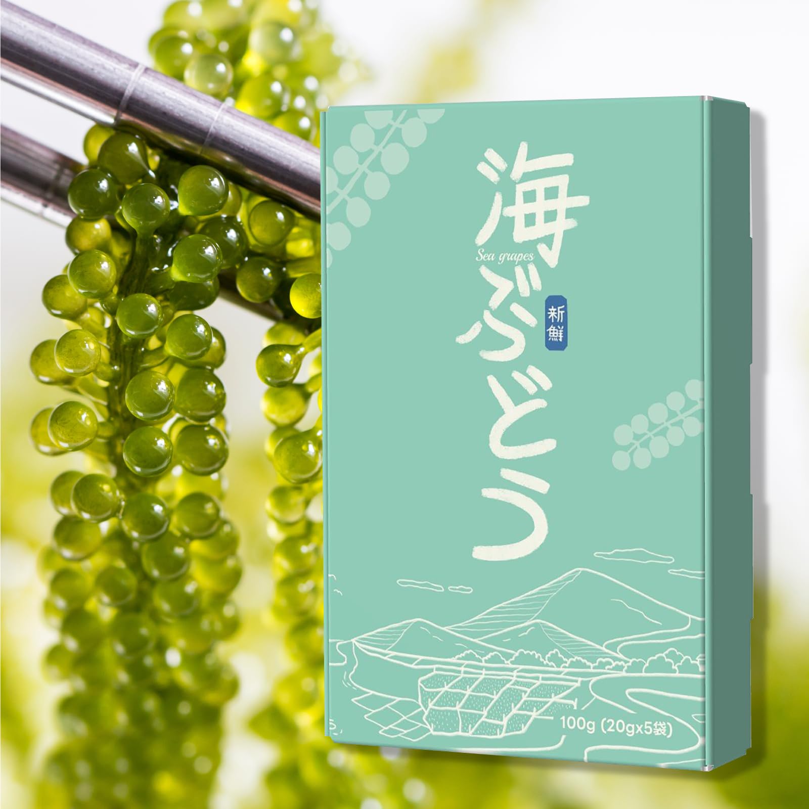AWOND Sea Grapes, Resilient with Water, 5 Times, Large Capacity, Value, Long Shelf Life, Fresh, Store at Room Temperature (5 Servings)