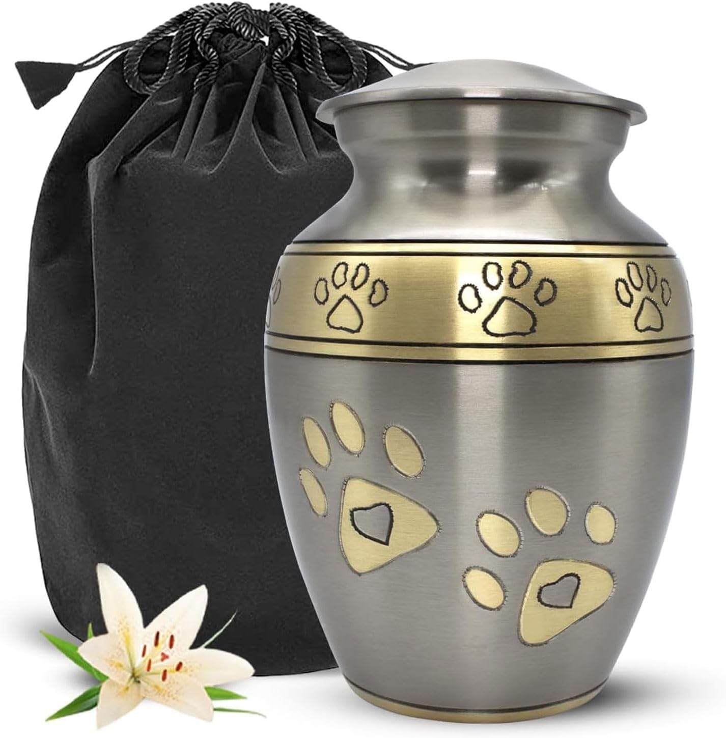 Pet Ashes Urn - Cremation Urn for Dogs & Cats – Paw Print Memorial Urn - Holds Cremated Remains of Pets Up to 42 lbs - Elegant Design to Honor Your Furry Friend (Silver, Medium)