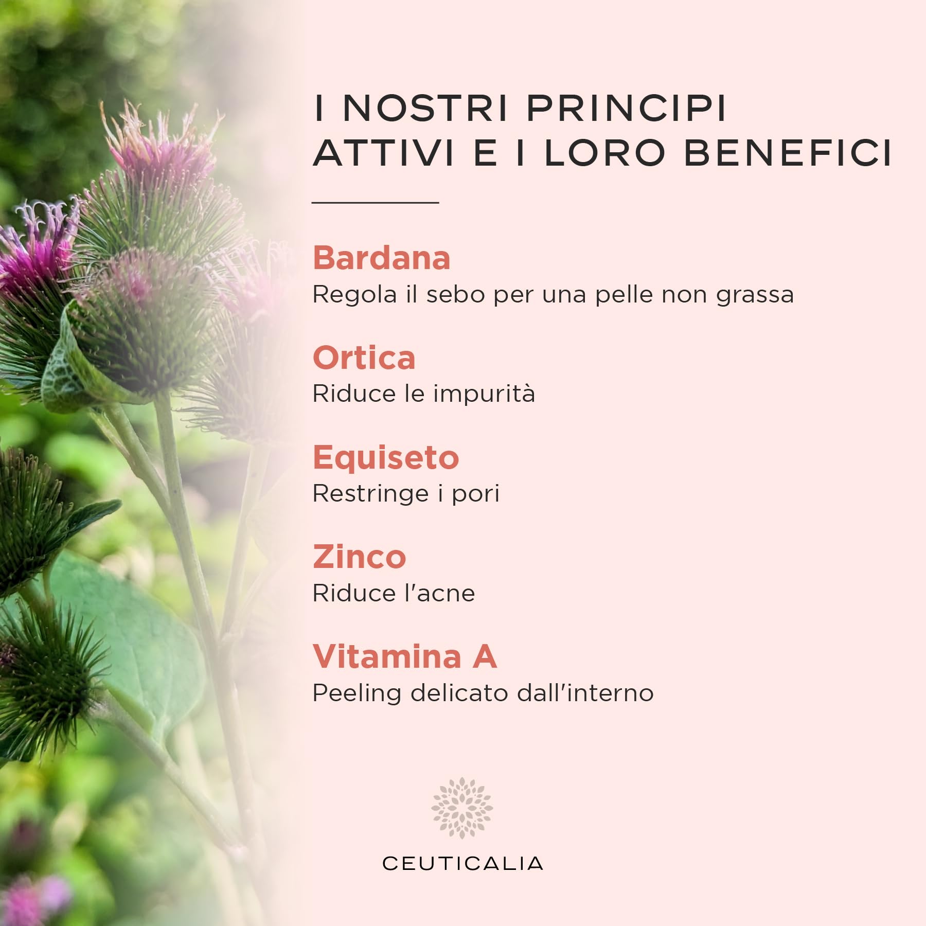 Integratore Alimentare per la Pelle - Punti Neri, Acne, Pelle Grassa o Secca, Brufoli, Imperfezioni - Uomini, Donne - Zinco, Vitamina A, Ortica, Bardana, Equiseto - 180 Capsule, 90 Giorni