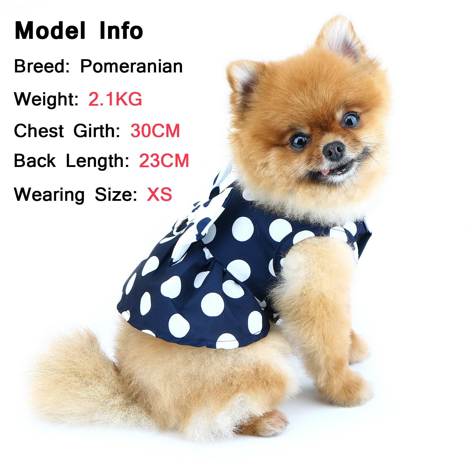 SMALLLEE_LUCKY_STORE Robe harnais à pois pour petit chien et fille – Robe harnais avec anneau en D et nœud – Vêtement respirant pour animal domestique – Vêtements pour chihuahua, yorkshire, chat,