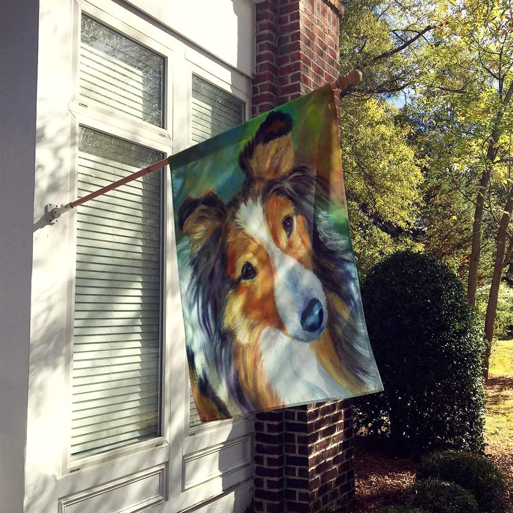 Caroline's Treasures 7396CHF Sheltie Curiosity House Flag Large Porch Sleeve Pole Decorative Outside Yard Banner Artwork Wall Hanging, Polyester, House Size, Multicolor