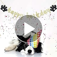 Amazon Com Happy Barkday Banner For Dogs Happy 1st Birthday Barkday Puppy Animal Theme Birthday Party Sign Decorations Supplies Dog Party Supplies Dog Paw Print Sign Gold Glitter Toys Games
