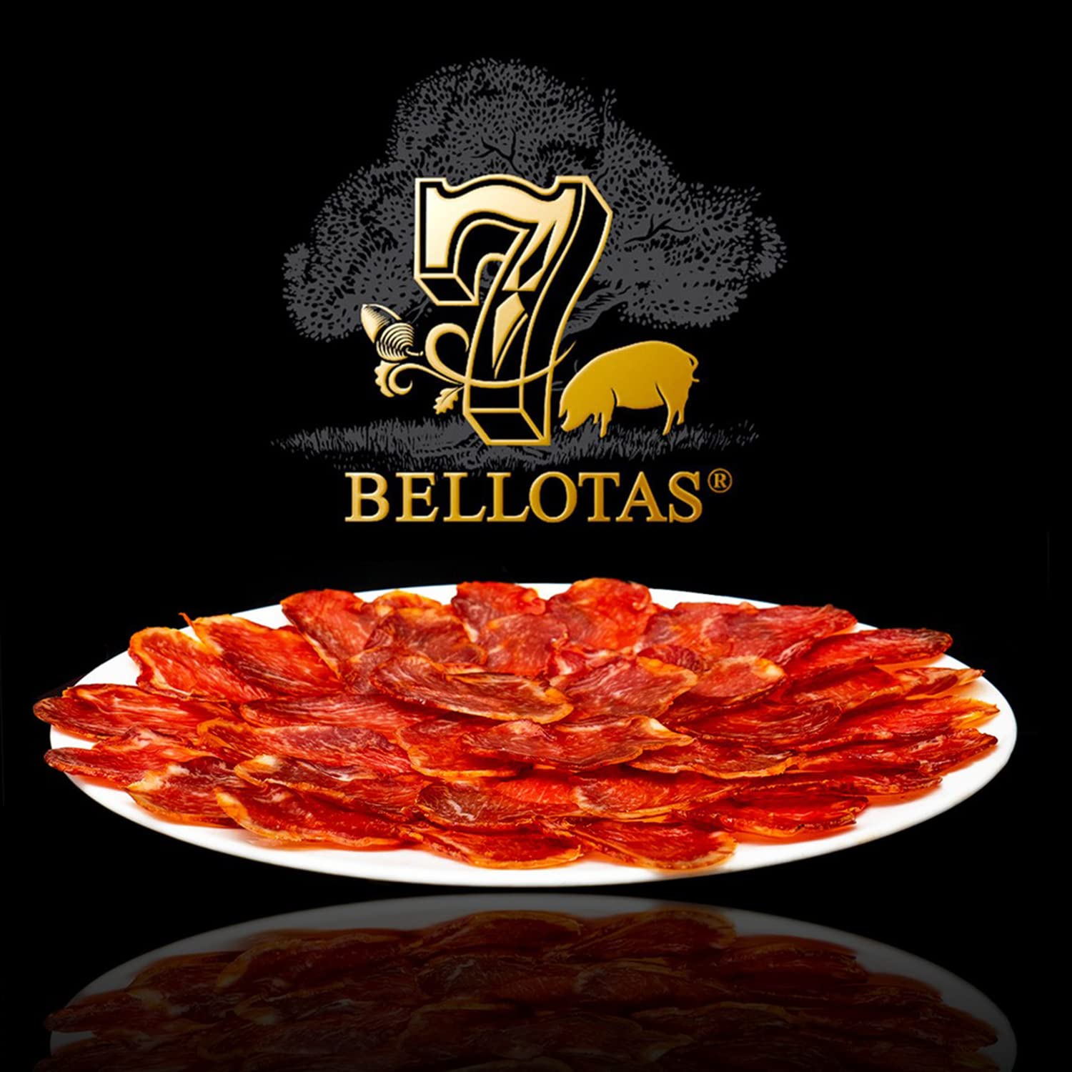 7 BELLOTAS Lonza 100% IBERICO | Lomo Iberico de Bellota | Suini Iberici nutriti con Ghiande | Salame Spagnolo Pata Negra IBERICO Salamanca (Tubo +500G)
