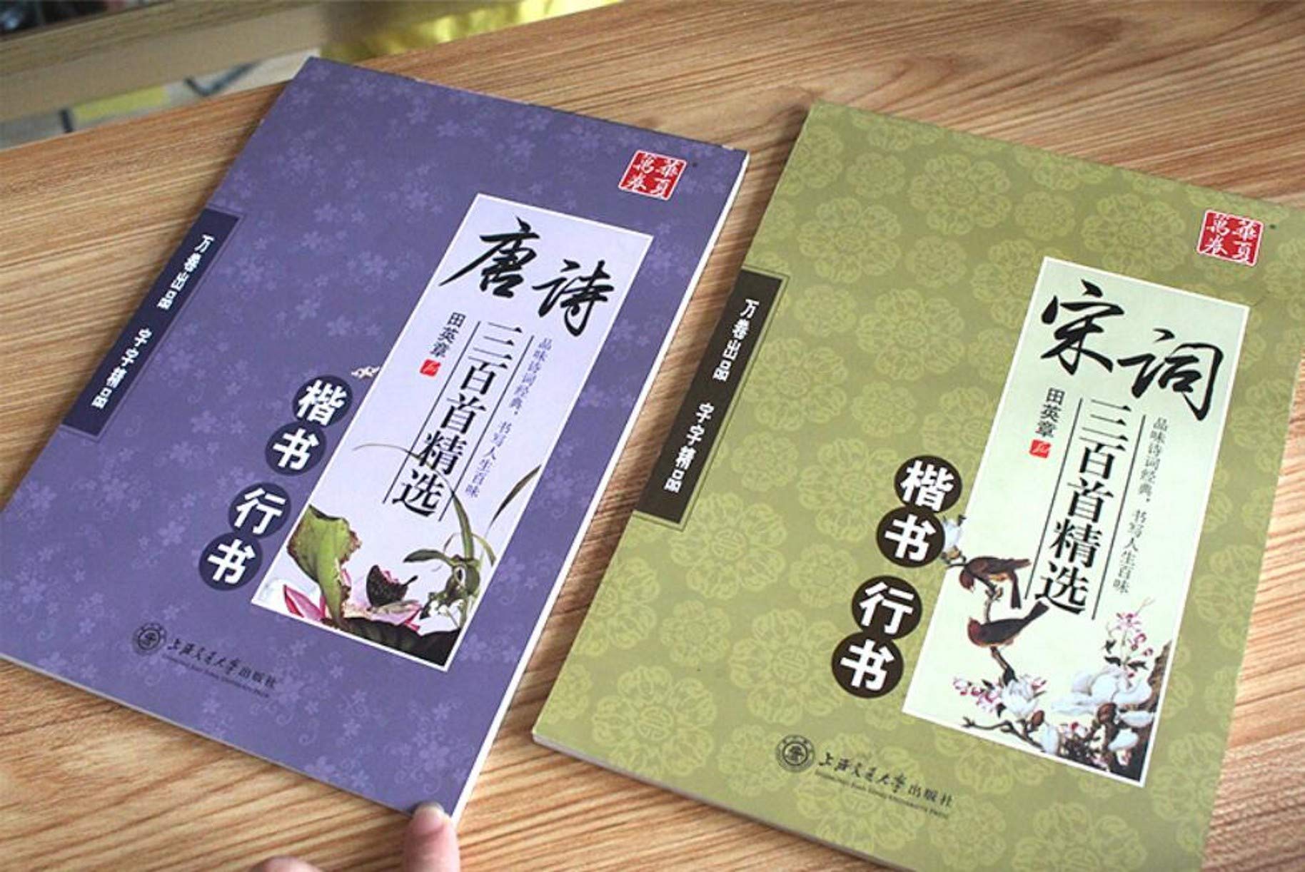 ZHONGJIUYUAN 2 Book Chinese Pen Calligraphy Copybook Tang Song Poems Copybook Regular Script Student Adult Copybook