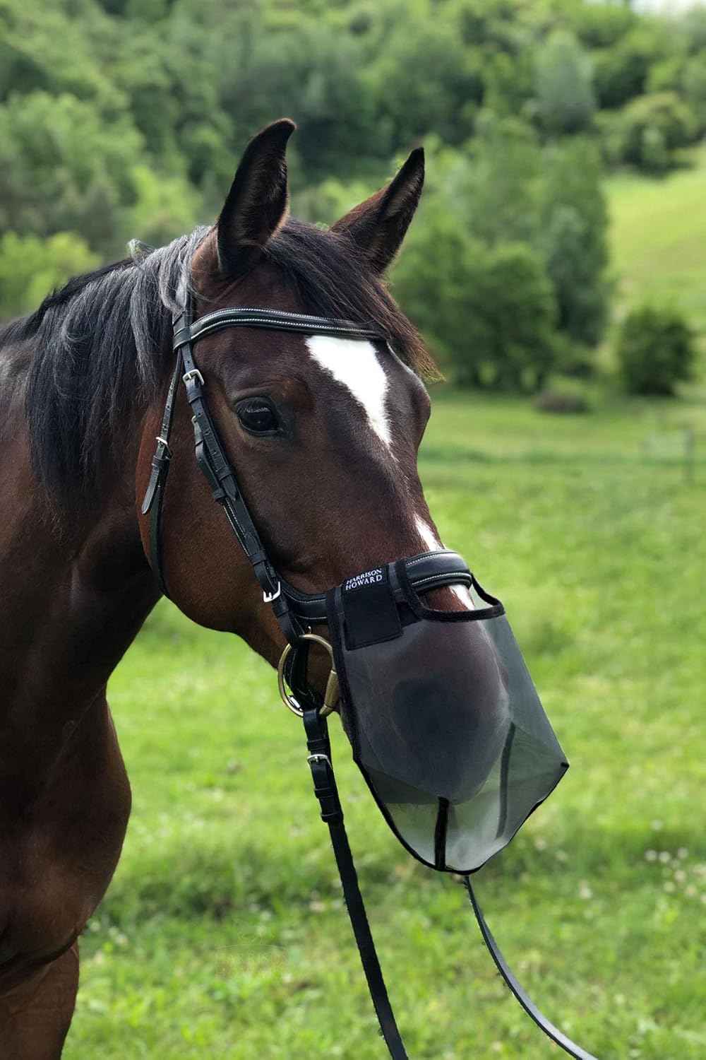 Harrison Howard Nose Net Nose Filter Nose Cover Reduces Head-Shaking ...