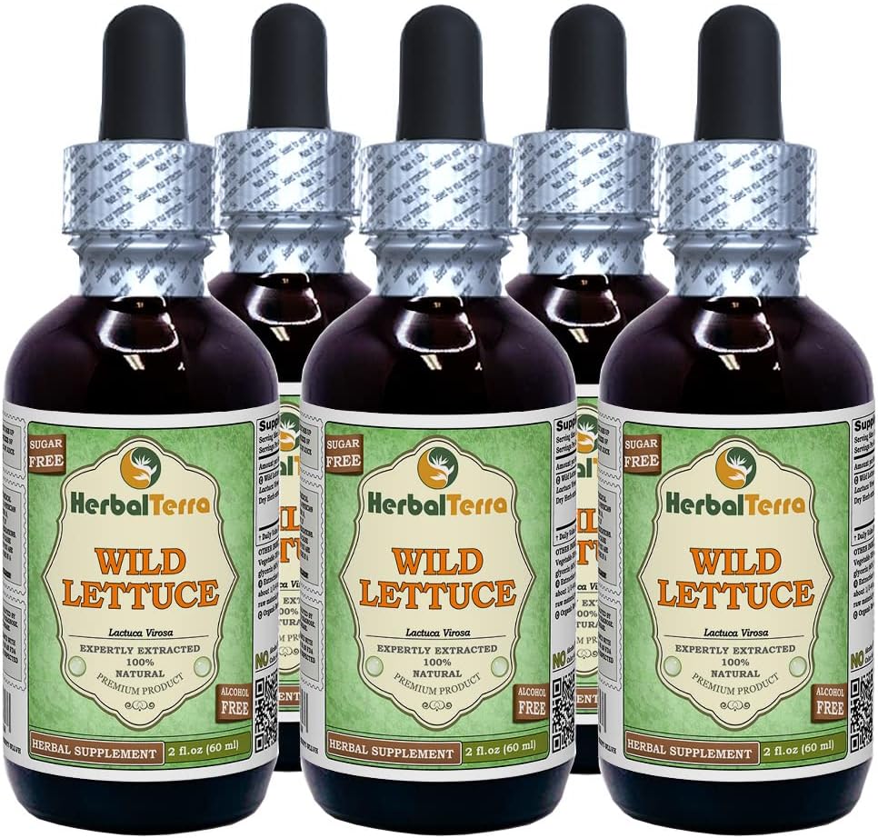 Wild Lettuce (Lactuca Virosa) Tincture, Dried Herb Liquid Extract (Brand Name: HerbalTerra, Proudly Made in USA) 4x4 fl.oz (4x120 ml)