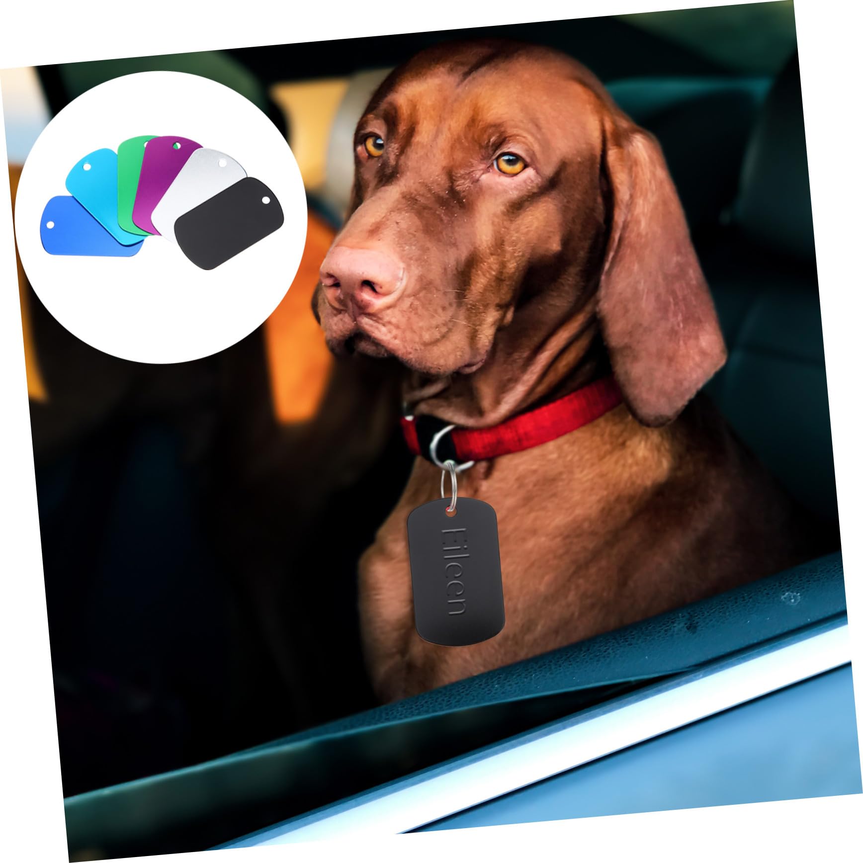 SUPVOX 5 Sätze Teiliges Runde Metallanhänger Für Haustier Id Legierte Blanko Hundemarken Zum Gravieren Leichte Diy Tierkennzeichen Für Hunde Katzen Welpen Vielseitig Als 24 Stück * 5