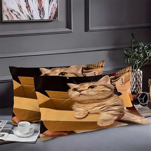 Miniatura 2 de Cute Twin Duvet Cover Cat Print Twin Bedding Sets Soft Microfiber Comforter Cover and 2 Pillow Shams 20"X26", Bed Set Duvet Covers with Zipper