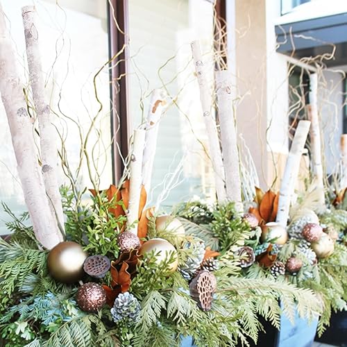 Miniatura 4 de 5 postes finos de abedul blanco de 4 pies, ramitas de madera natural para manualidades, ramas para decoración del hogar, suministros de bricolaje