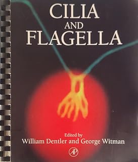 Cilia and Flagella, Volume 47 (Methods in Cell Biology)