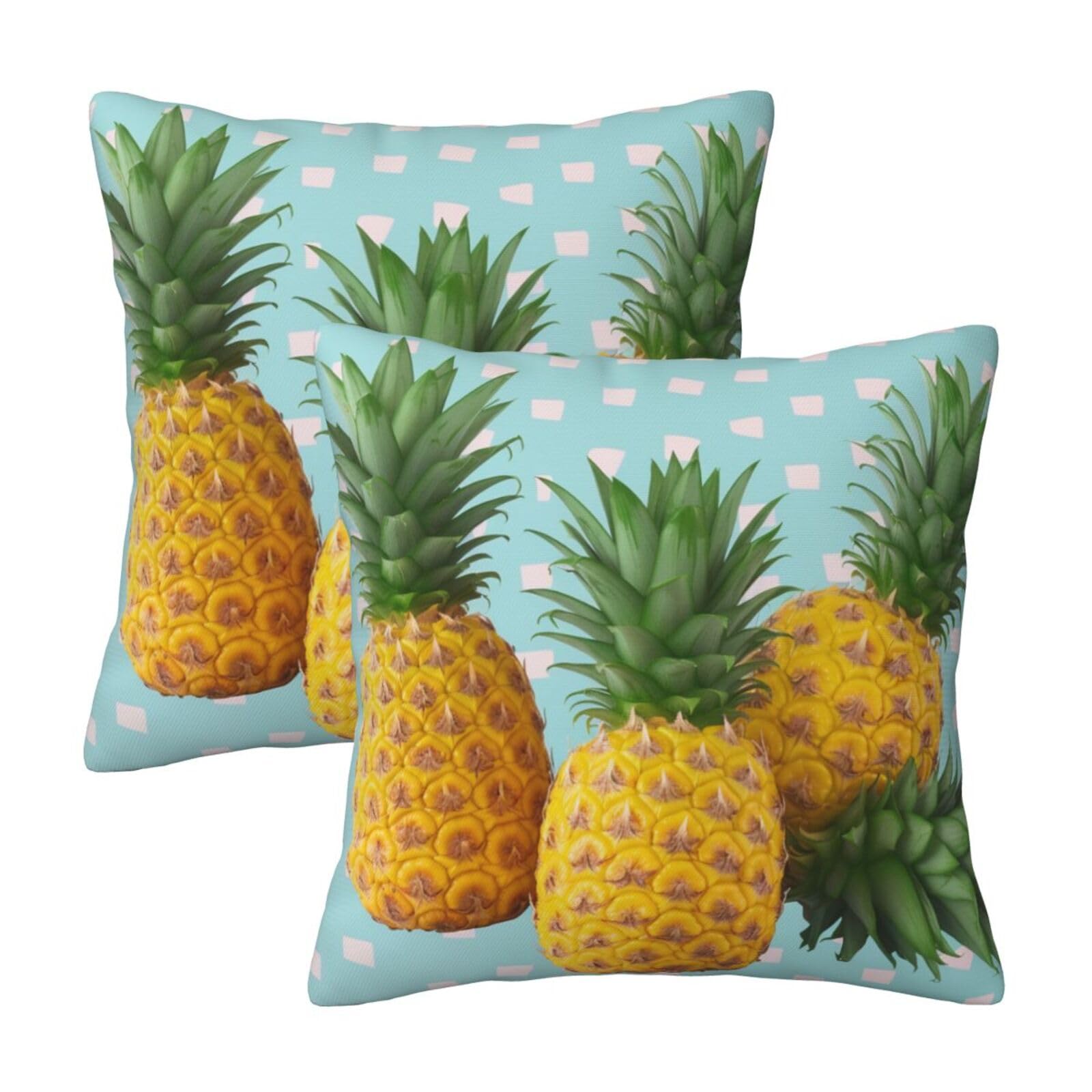 Fresh Pineapple Throw Pillow Cases 2 Pack Square Pillowcases Soft Pillow Protectors for Couch Livingroom Sofa Bed Office Car,40x40 CM